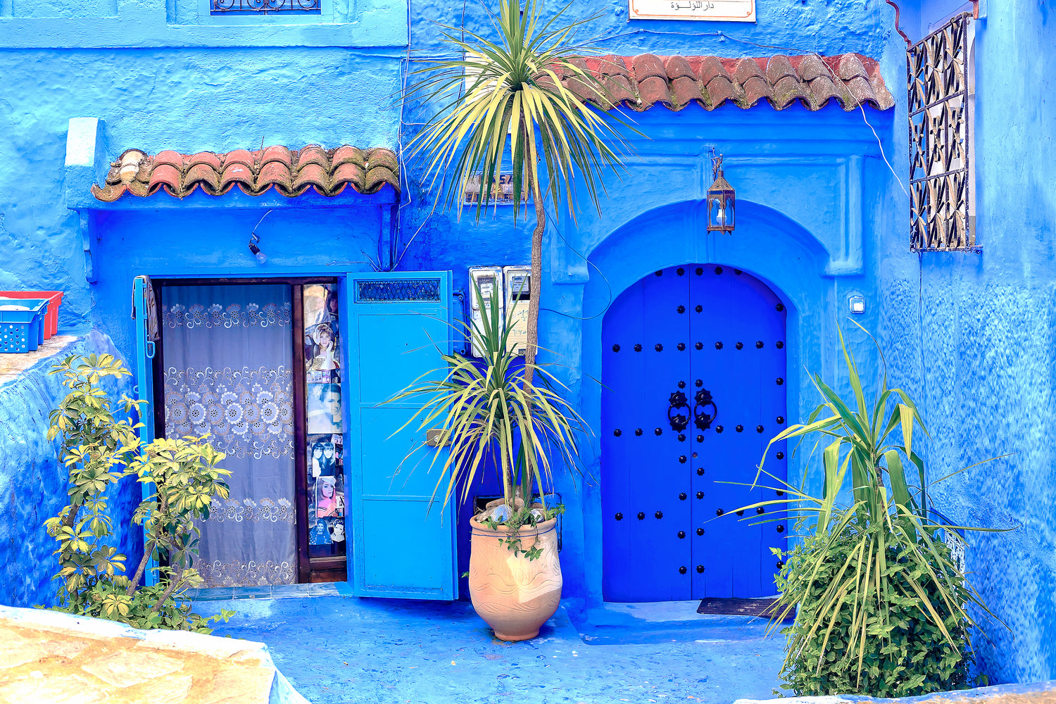 Blue House